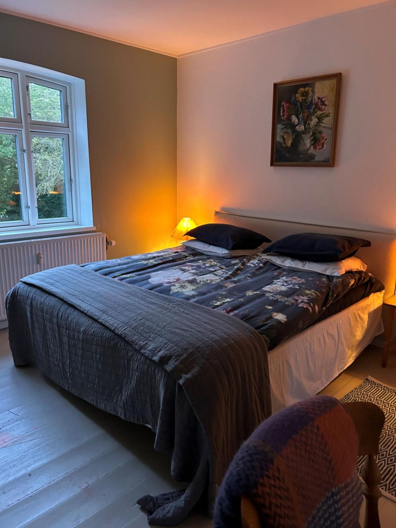 Hojriisgaard B & B Norreby  Exteriér fotografie